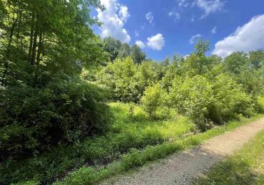 4 River Rock Road, Murphysboro, Illinois, ,Land,For Sale,River Rock,RMAEB458470
