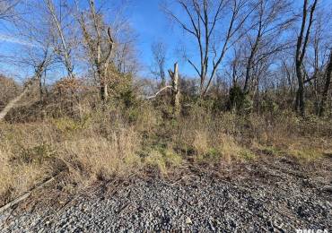 0000 IL Hwy 37 Highway, Bonnie, Illinois, ,Land,For Sale,IL Hwy 37,RMAEB458606