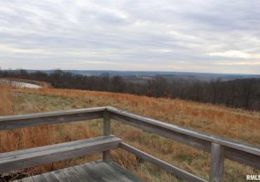 0000 Bruce Johnson Road, Herod, Illinois, ,Commercial Sale,For Sale,Bruce Johnson,RMAEB438282