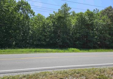 000 State Route 51 Route, Pulaski, Illinois, ,Land,For Sale,State Route 51,RMAEB454006