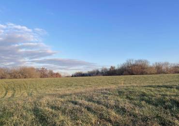 15215 42ND Street West, Milan, Illinois, ,Land,For Sale,42ND,RMAQC4253283