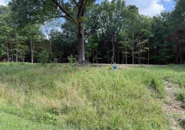 Lot 305 Pecan Point Lane, Goreville, Illinois, ,Land,For Sale,Pecan Point,RMAEB458657