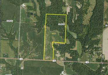 00 SMITHVILLE Road, Trivoli, Illinois, ,Land,For Sale,SMITHVILLE,RMAPA1259196