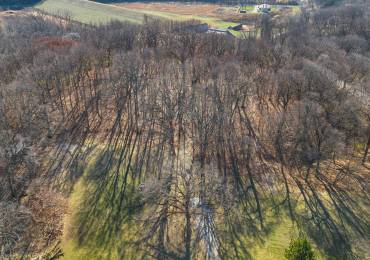 Lot 6 OAKWOOD Road, East Peoria, Illinois, ,Land,For Sale,OAKWOOD,RMAPA1259264