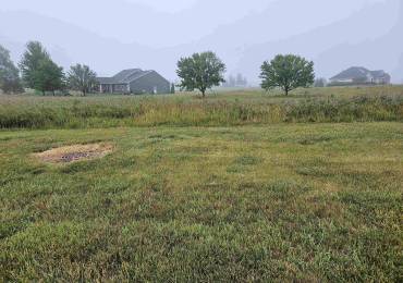 917 Ring Drive, Metamora, Illinois, ,Land,For Sale,Ring,RMAPA1259263