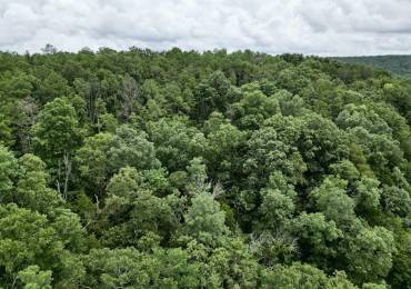 000 Stoneface Road, Harrisburg, Illinois, ,Land,For Sale,Stoneface,RMAEB458751