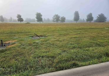 821 HARMON Lane, Metamora, Illinois, ,Land,For Sale,HARMON,RMAPA1259298