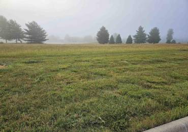 813 HARMON Lane, Metamora, Illinois, ,Land,For Sale,HARMON,RMAPA1259302
