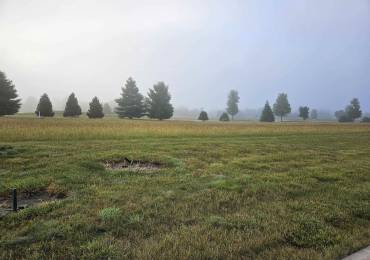809 HARMON Lane, Metamora, Illinois, ,Land,For Sale,HARMON,RMAPA1259303