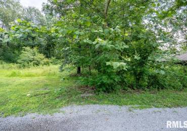 2502 Joel Drive, Herrin, Illinois, ,Land,For Sale,Joel,RMAQC4265207