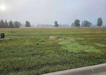 1010 Ring Drive, Metamora, Illinois, ,Land,For Sale,Ring,RMAPA1259294