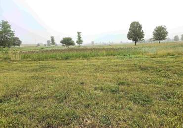 LOT 17 Ring Drive, Metamora, Illinois, ,Land,For Sale,Ring,RMAPA1259311