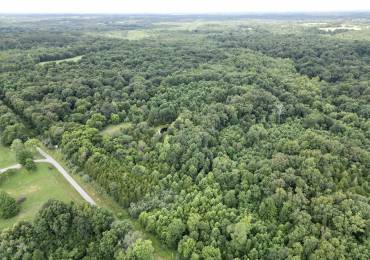 000 Birdwell Church Road, Creal Springs, Illinois, ,Land,For Sale,Birdwell Church,RMAEB458763