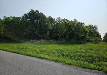 000 Winery Road, West Frankfort, Illinois, ,Land,For Sale,Winery,RMAEB458766
