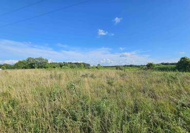 0000 Bakersville Road, Belle Rive, Illinois, ,Land,For Sale,Bakersville,RMAEB458782