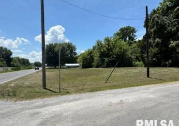 0000 IL Hwy 37 Highway, Bonnie, Illinois, ,Land,For Sale,IL Hwy 37,RMAEB458791