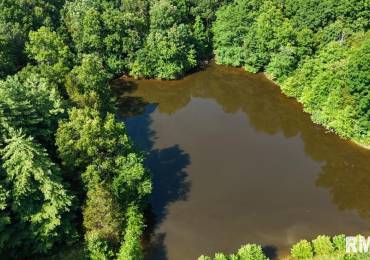 000 Martin Cave Lane, Goreville, Illinois, ,Land,For Sale,Martin Cave,RMAEB458802