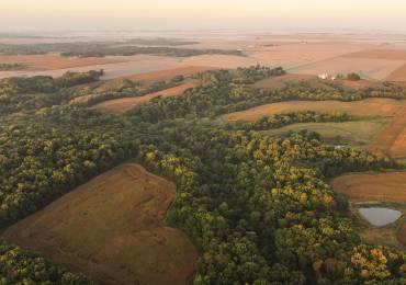 0000 DAILY Road, Princeville, Illinois, ,Land,For Sale,DAILY,RMACA1039518