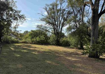 702&704 COLEMAN Street, Havana, Illinois, ,Land,For Sale,COLEMAN,RMAPA1258385